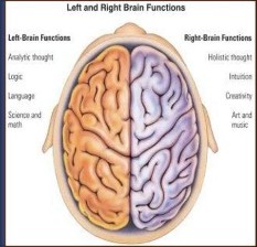 Areas de los 2 hemisferios cerebrales